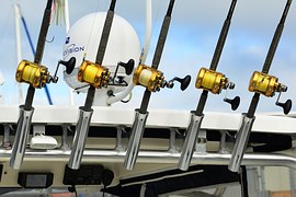 fishing 1227449 1802